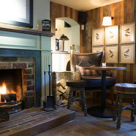 Red Lion Inn Little Budworth エクステリア 写真